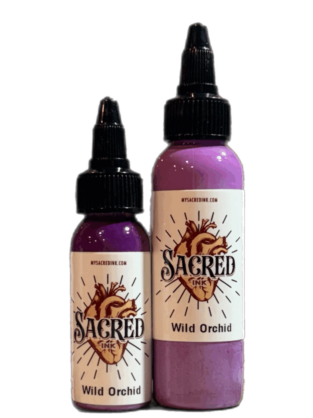 Wild Orchid